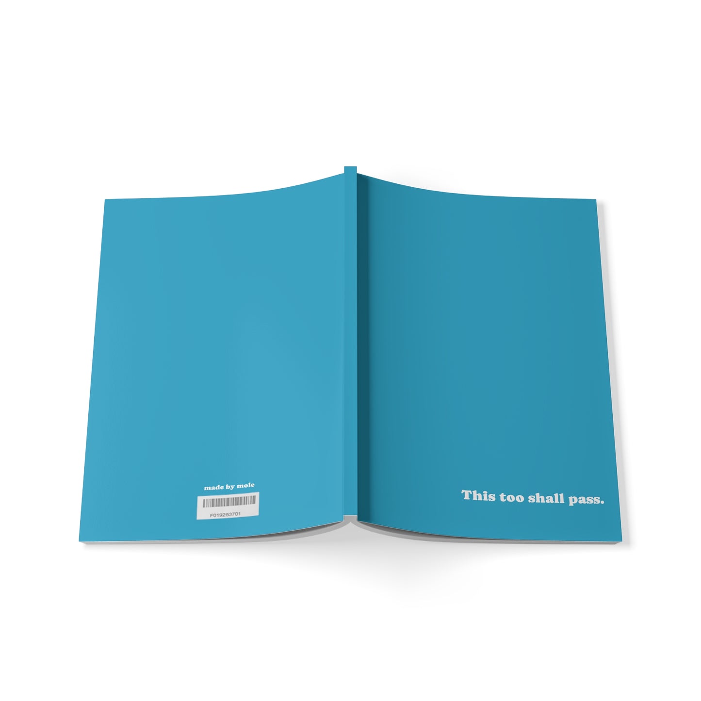 Notebook, Softcover, This too Shall Pass, A5 (Turquoise)