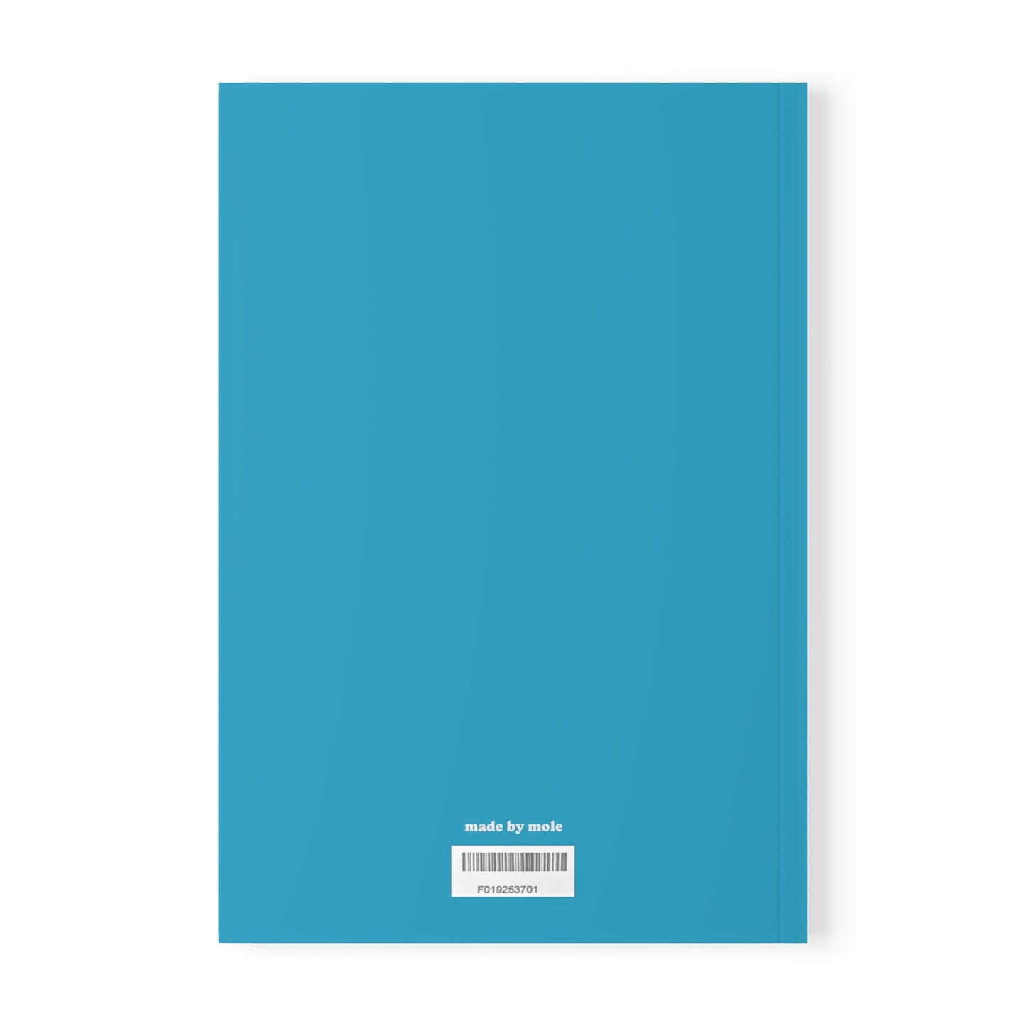 Notebook, Softcover, This too Shall Pass, A5 (Turquoise)